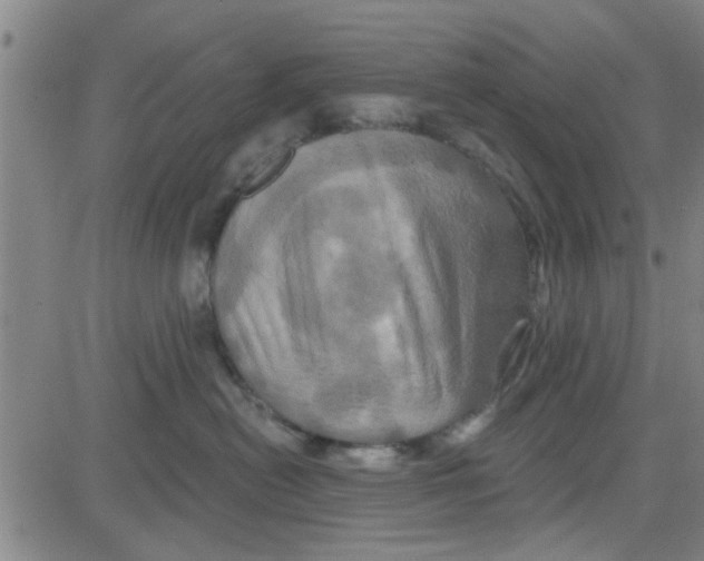 X0000081500478200702021952
