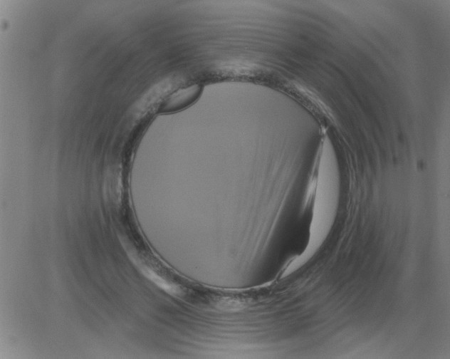 X0000081500494200702021951