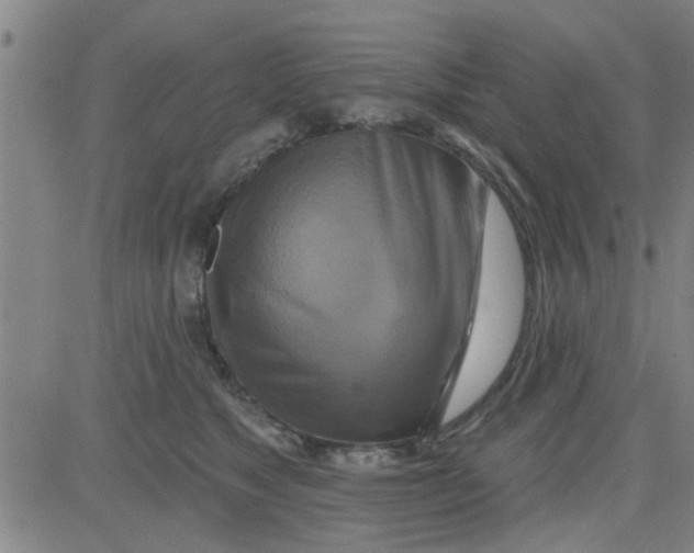 X0000081500517200702021951