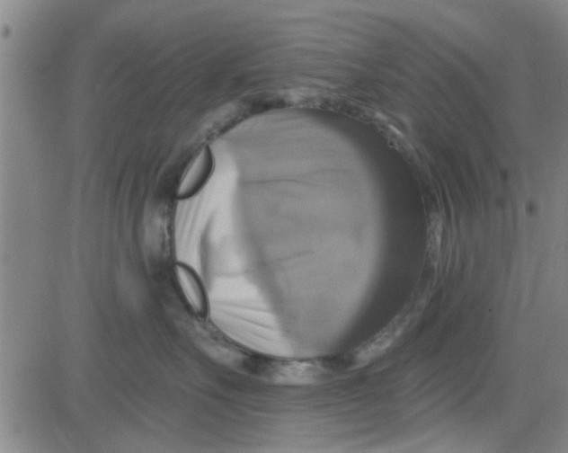 X0000081500527200702021951