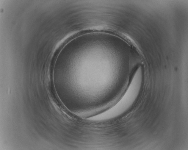 X0000081500532200702021950