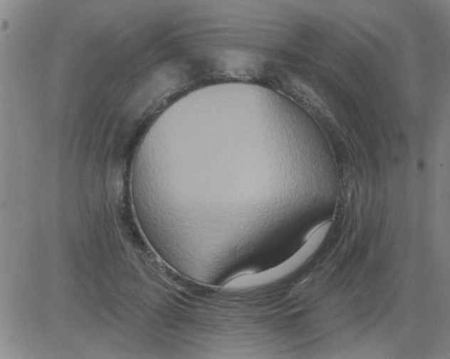 X0000081500595200702021949