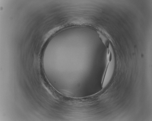 X0000081500626200702021948
