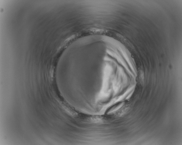 X0000081500668200702021949