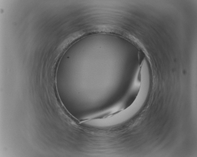 X0000081500673200702021948
