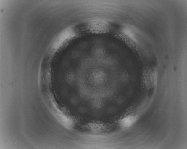 X0000081500690200702021948