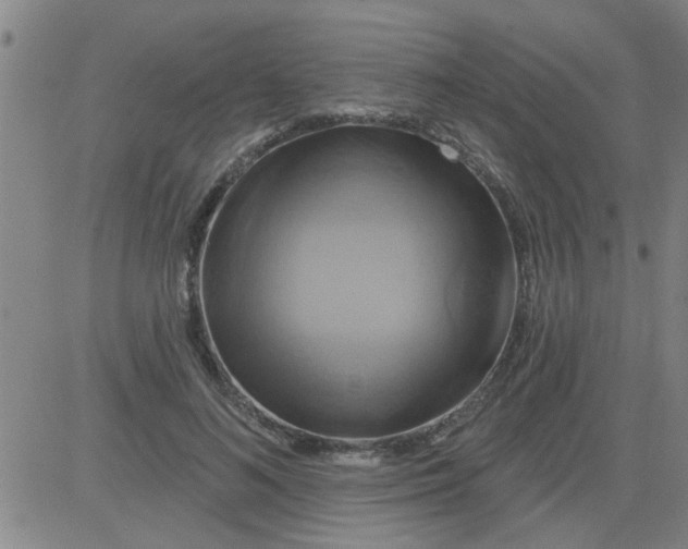 X0000081500692200702021948