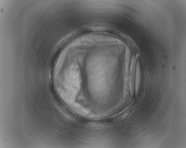 X0000081500733200702021947