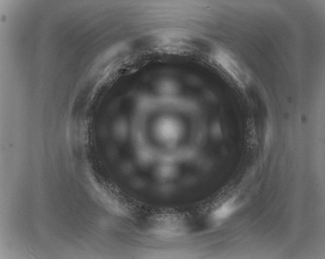 X0000081500738200702021947
