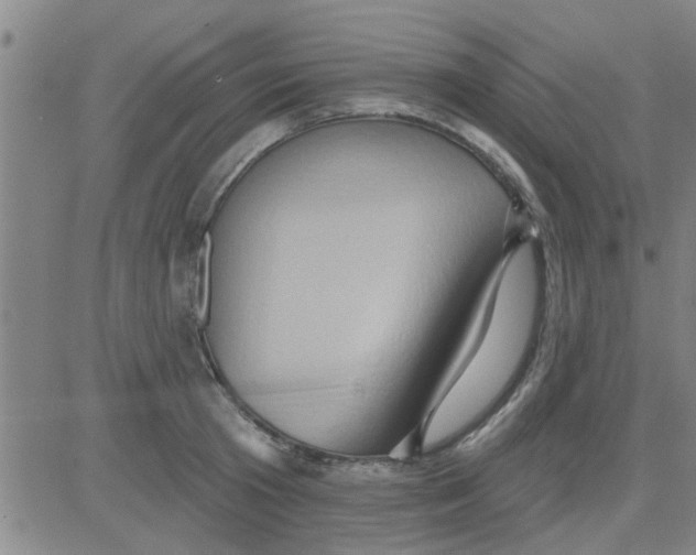 X0000081500801200702021946