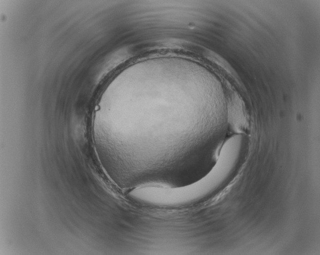 X0000081500826200702021945