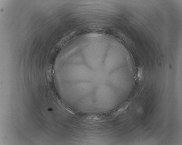 X0000081500867200702021945
