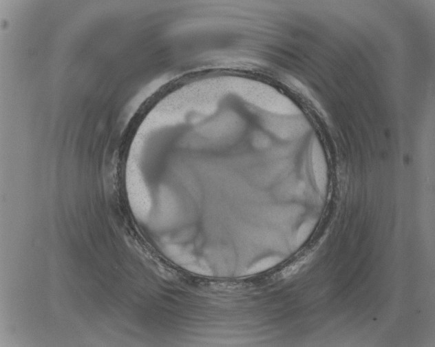 X0000081500875200702021945