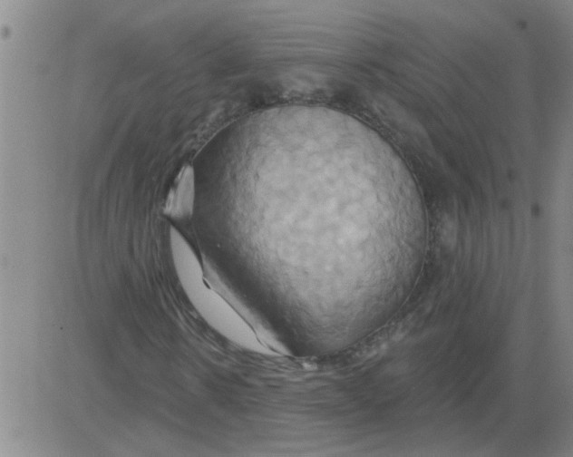 X0000081500914200702021944