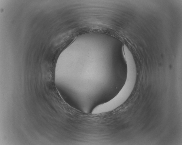 X0000081500916200702021944