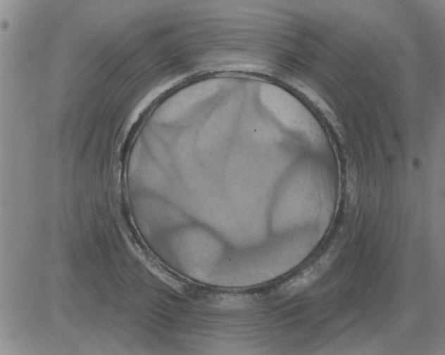 X0000081500933200702021944