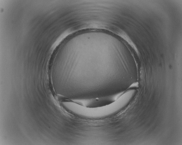 X0000081500972200702021943