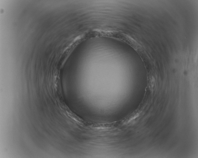 X0000081501010200702021942