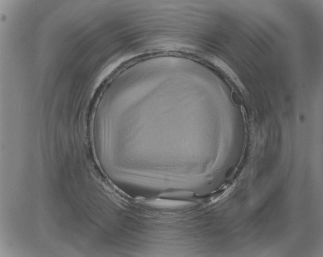 X0000081501023200702021942