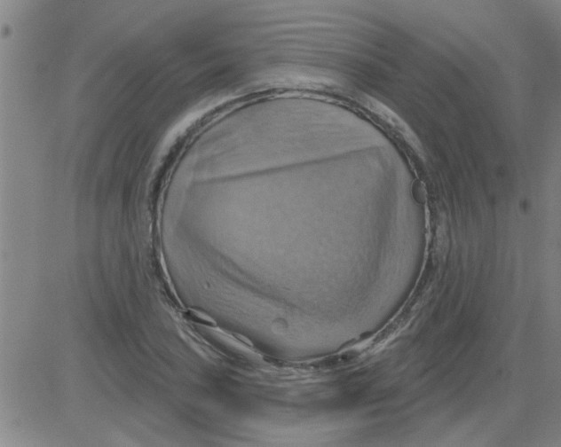 X0000081501027200702021942