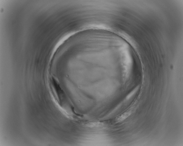 X0000081501056200702021943