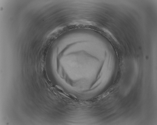 X0000081501063200702021942