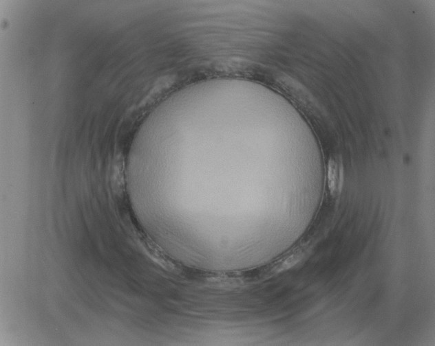 X0000081501107200702021941