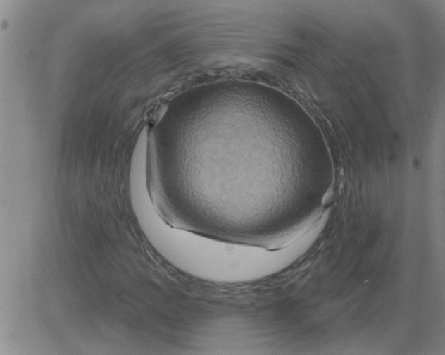 X0000081501109200702021941