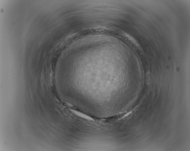 X0000081501111200702021941