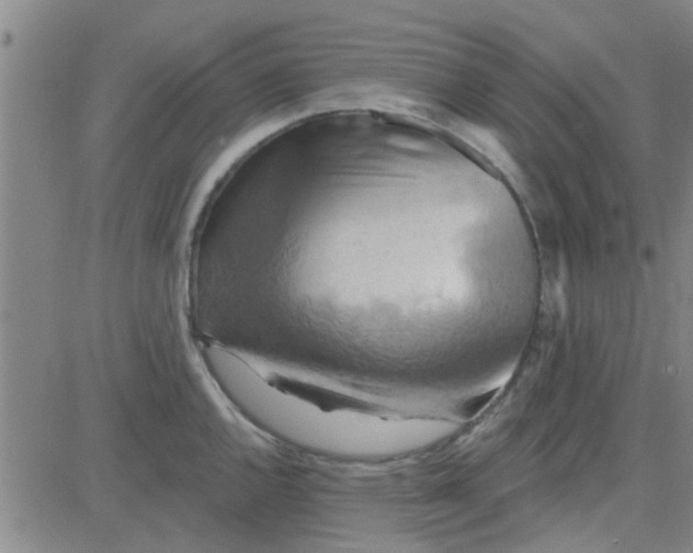 X0000081501144200702021941