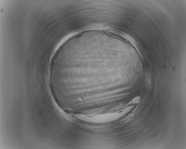 X0000081501147200702021941