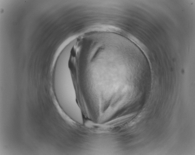 X0000081501152200702021941