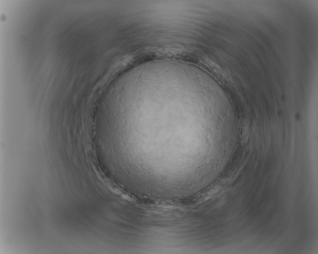 X0000081501153200702021940