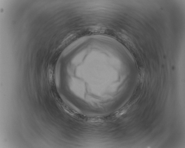 X0000081501154200702021940