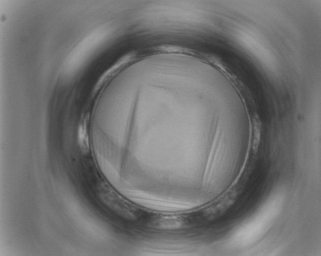 X0000081501198200702021940