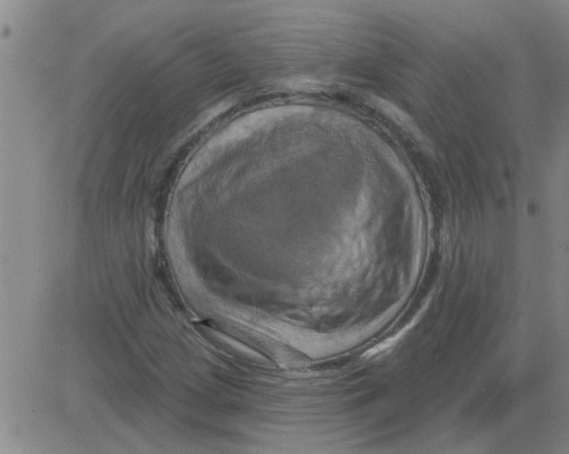 X0000081501209200702021939