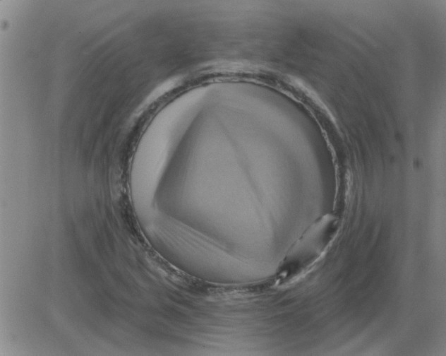X0000081501213200702021939