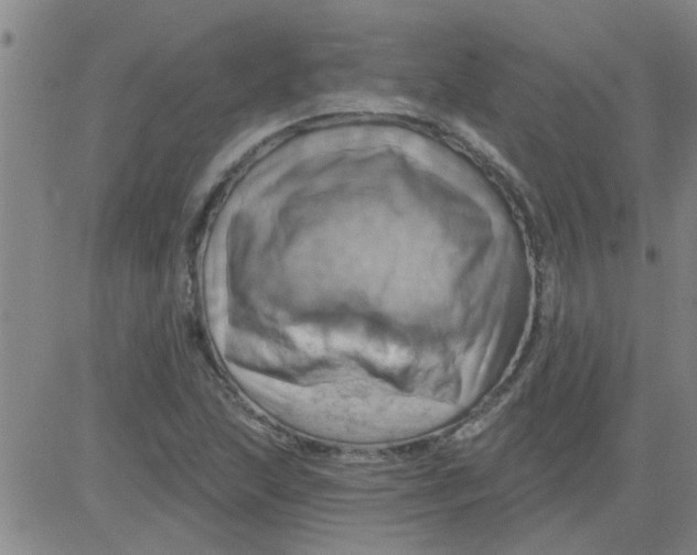 X0000081501215200702021939