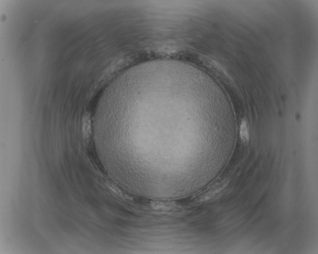 X0000081501299200702021937