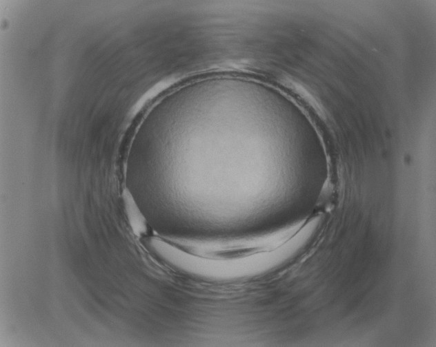 X0000081501308200702021938