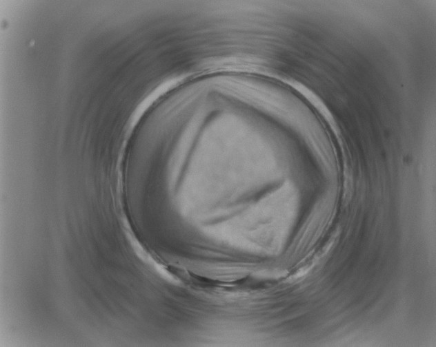 X0000081501341200702021938