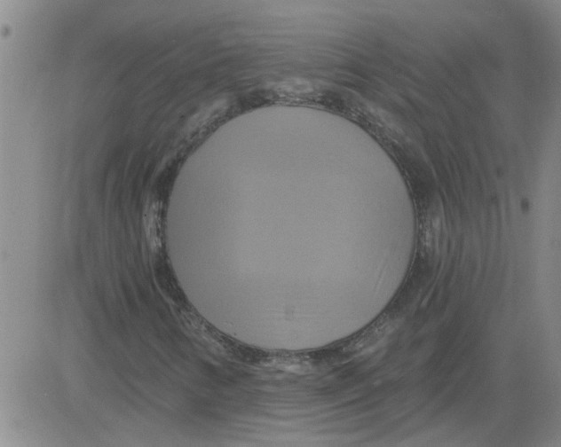 X0000081501346200702021937