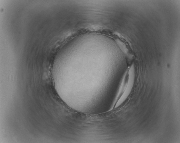 X0000081501349200702021937