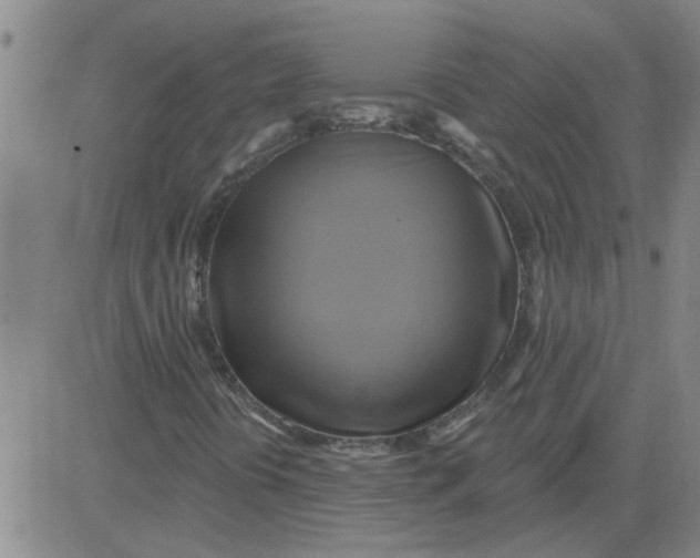 X0000081501394200702021936
