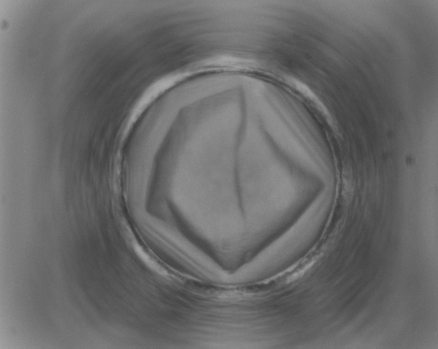 X0000081501421200702021936