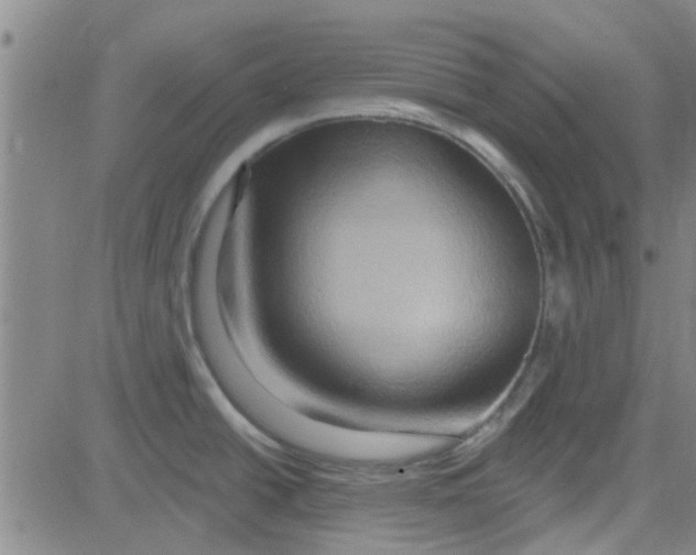 X0000081501438200702021937