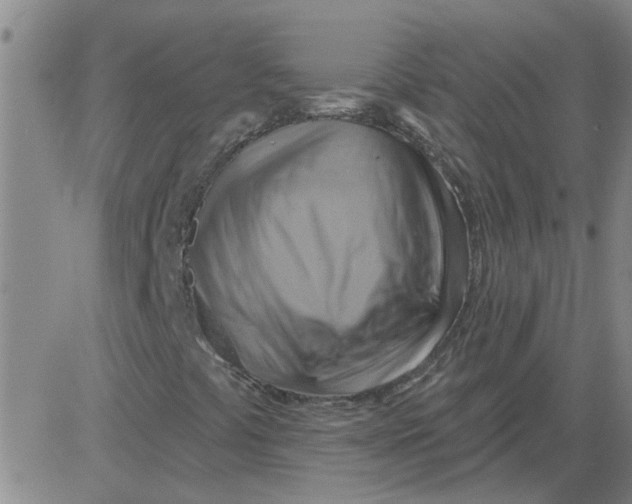 X0000081501441200702021936