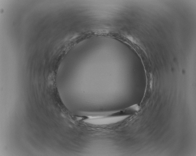 X0000081501445200702021936