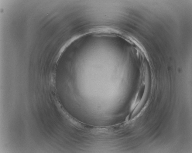X0000081501481200702021935