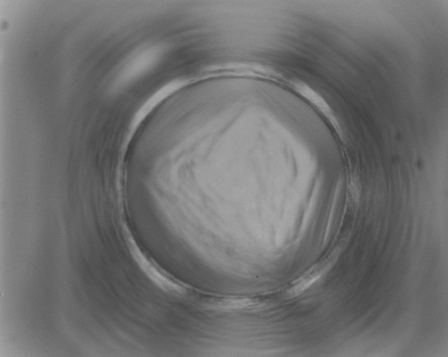 X0000081501482200702021935